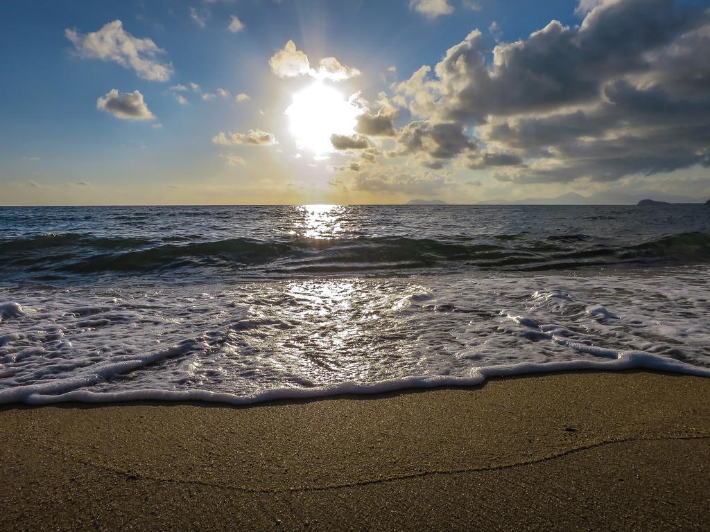棕榈湾 凯恩斯海滩快闪背包客旅馆旅舍 外观 照片