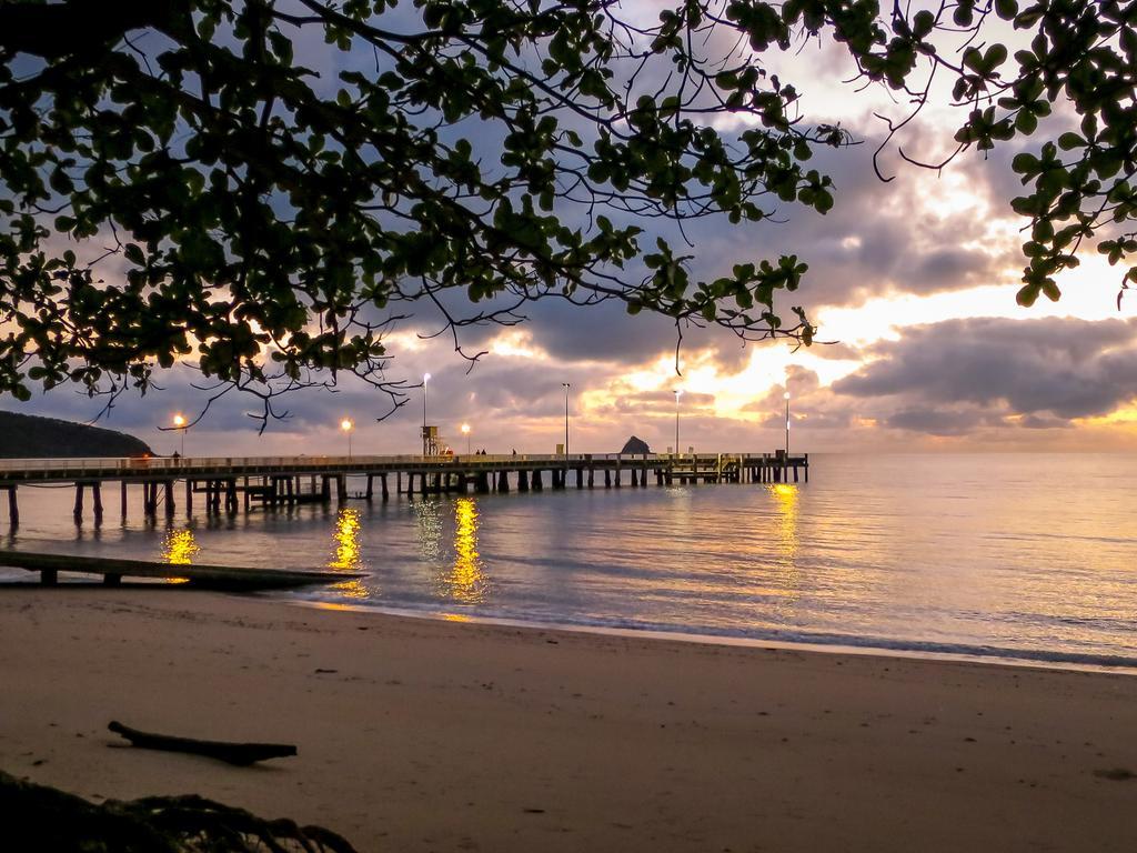棕榈湾 凯恩斯海滩快闪背包客旅馆旅舍 外观 照片